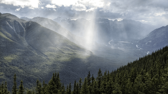 Post-Perdida-de-embarazo-Mi-Historia