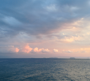 Sintomas de perdida en mi embarazo header