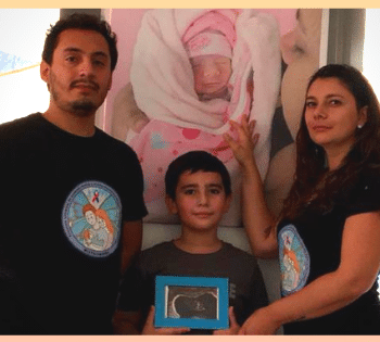 ley dominga ¿que es?