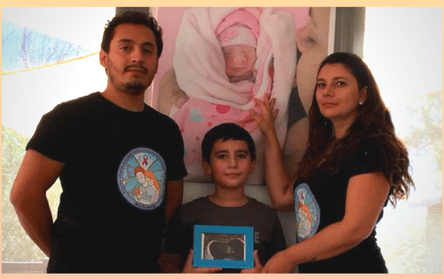 ley dominga ¿que es?