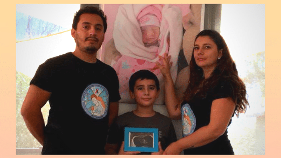 ley dominga ¿que es?