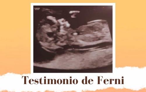 historia Ferni