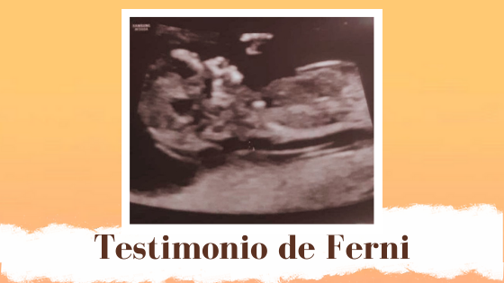 historia Ferni